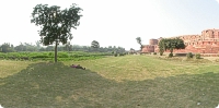 View of Agra Fort for garden around it