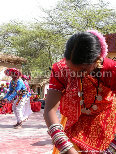 Artists from Chattisgarh peroforming