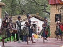 Indian folk dancers performing