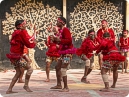 Artists from Chattisgarh performing