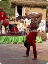 Artists from Chattisgarh performing