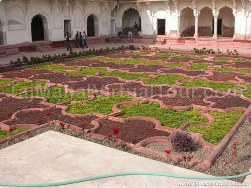 Angoori Bagh, Grapes Garden